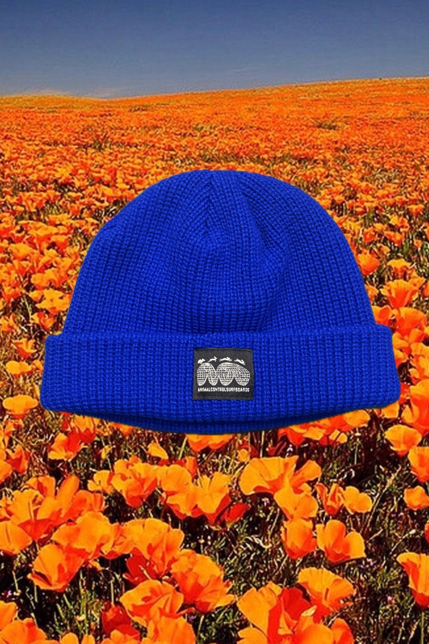 ROYAL BLUE BEANIE