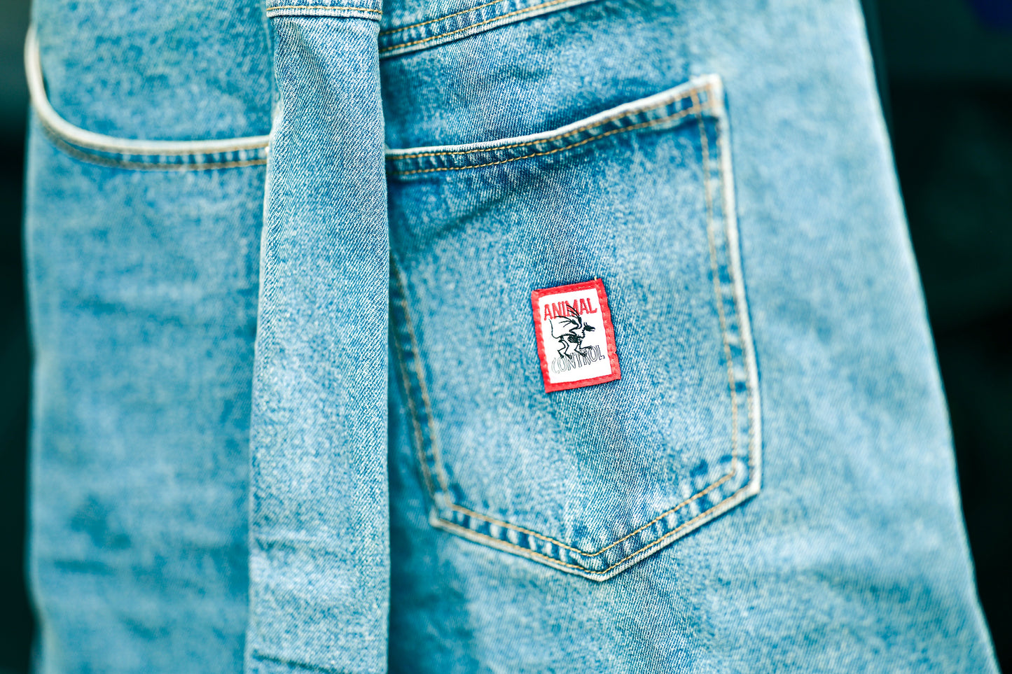1 Frog Jorts (Jean Shorts)